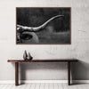 Texas Longhorn Cattle Wall Art