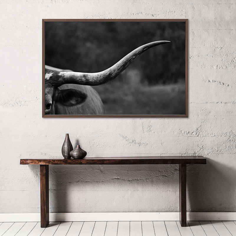 Texas Longhorn Cattle Wall Art