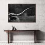 Texas Longhorn Cattle Wall Art