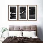 Texas Longhorn Cattle Wall Art