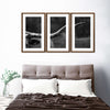Texas Longhorn Cattle Wall Art