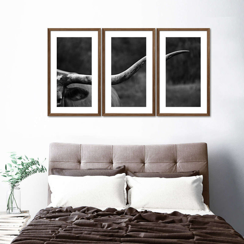 Texas Longhorn Cattle Wall Art
