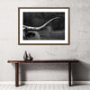 Texas Longhorn Cattle Wall Art