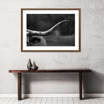Texas Longhorn Cattle Wall Art
