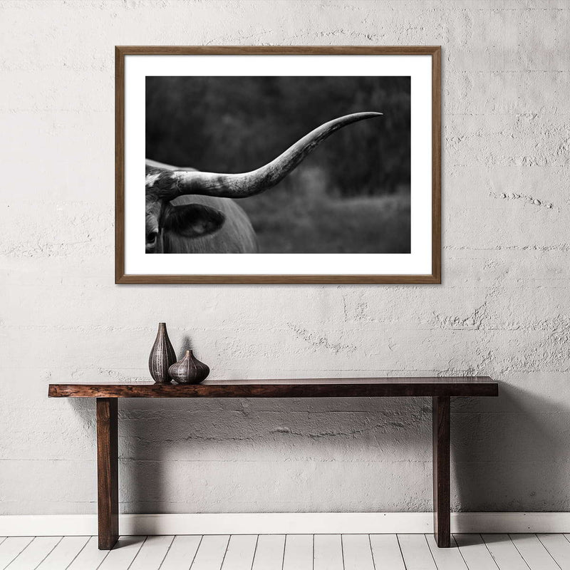Texas Longhorn Cattle Wall Art