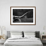 Texas Longhorn Cattle Wall Art
