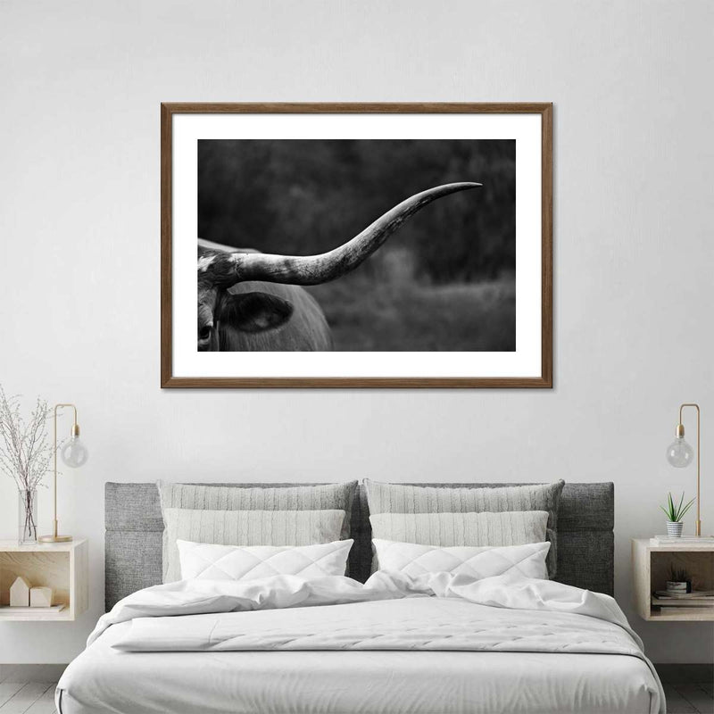 Texas Longhorn Cattle Wall Art