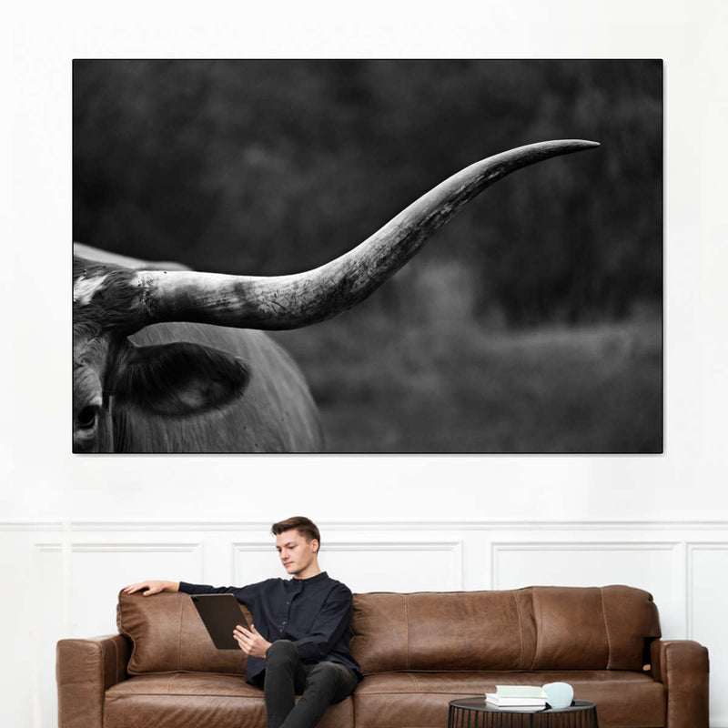 Texas Longhorn Cattle Wall Art