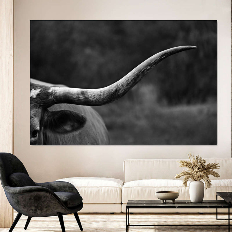 Texas Longhorn Cattle Wall Art