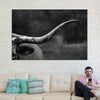 Texas Longhorn Cattle Wall Art