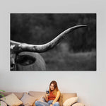 Texas Longhorn Cattle Wall Art