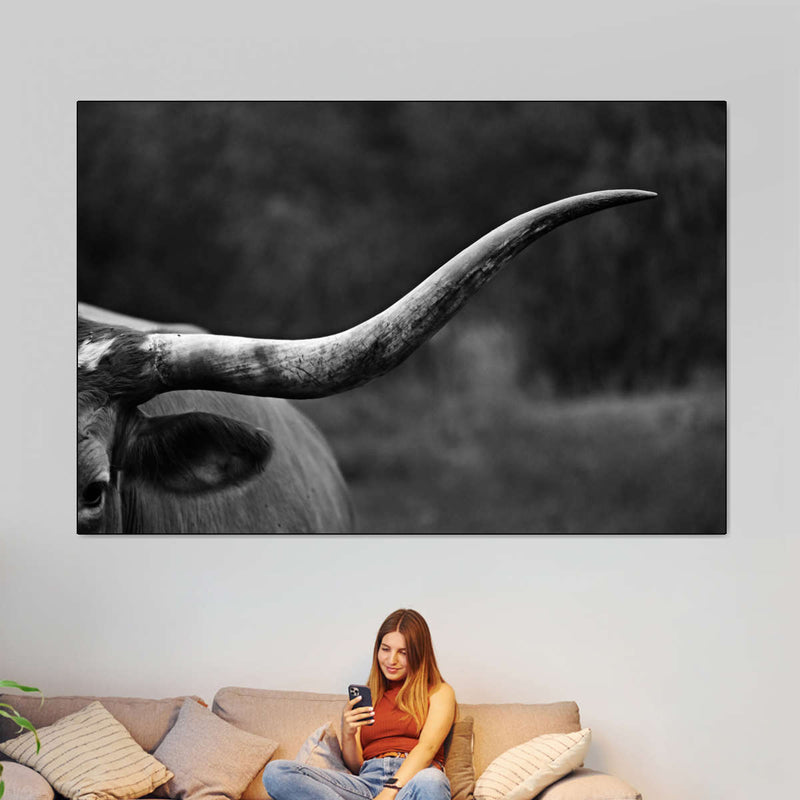 Texas Longhorn Cattle Wall Art