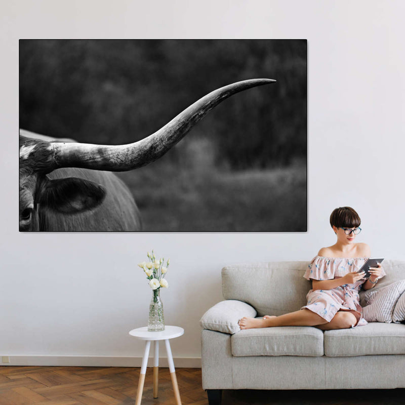 Texas Longhorn Cattle Wall Art