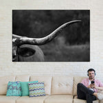 Texas Longhorn Cattle Wall Art