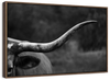 Texas Longhorn Cattle Wall Art