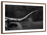 Texas Longhorn Cattle Wall Art