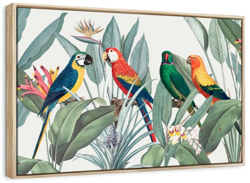 Tropical Safari Parrots Wall Art