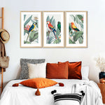 Tropical Safari Parrots Wall Art