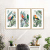 Tropical Safari Parrots Wall Art