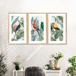 Tropical Safari Parrots Wall Art