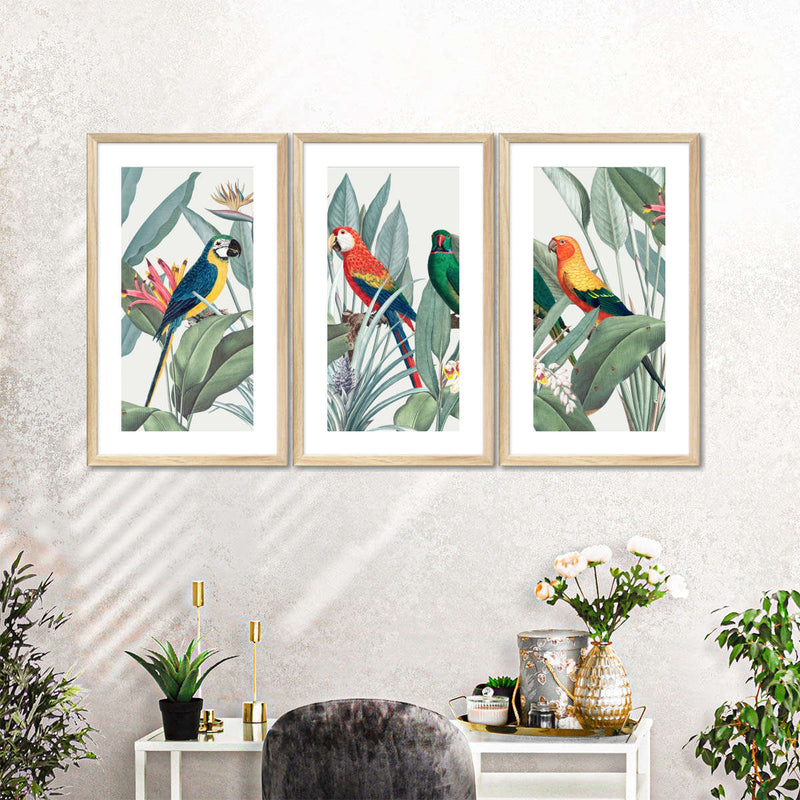Tropical Safari Parrots Wall Art