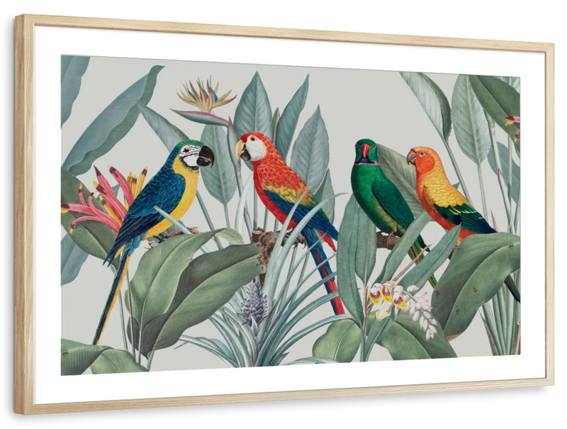 Tropical Safari Parrots Wall Art
