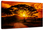 Serengeti Park Sunset Silhouette Wall Art