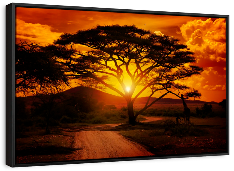 Serengeti Park Sunset Silhouette Wall Art