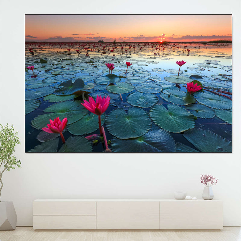 Lake Nong Harn Lotus Wall Art