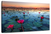 Lake Nong Harn Lotus Wall Art
