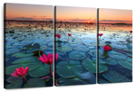 Lake Nong Harn Lotus Wall Art