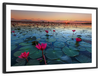 Lake Nong Harn Lotus Wall Art