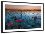 Lake Nong Harn Lotus Wall Art