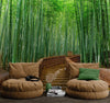 Japanese Bamboo Forest Arashiyama Woods Wall Mural #6043