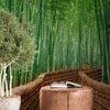 Japanese Bamboo Forest Arashiyama Woods Wall Mural #6043