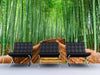 Japanese Bamboo Forest Arashiyama Woods Wall Mural #6043