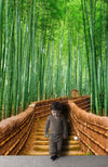 Japanese Bamboo Forest Arashiyama Woods Wall Mural #6043