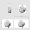 Black and White Lotus Flower Wall Mural #6116
