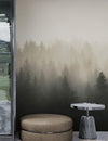 Misty Pine Forest Wall Mural. Peaceful Foggy Morning Scenery. #6122