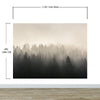 Misty Pine Forest Wall Mural. Peaceful Foggy Morning Scenery. #6122
