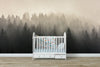 Misty Pine Forest Wall Mural. Peaceful Foggy Morning Scenery. #6122