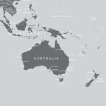 World Map Wall Mural (Grey). #6133