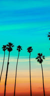 California SoCal Tropical Sunset Palm Trees Large Wall Mural. #6139