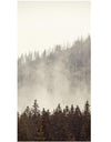 Foggy Misty Forest Tree Over Mountain Wall Mural. #6171
