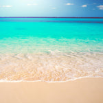 Tropical White Sand Paradise Beach Ocean Wave Scenery Wall Mural. #6201