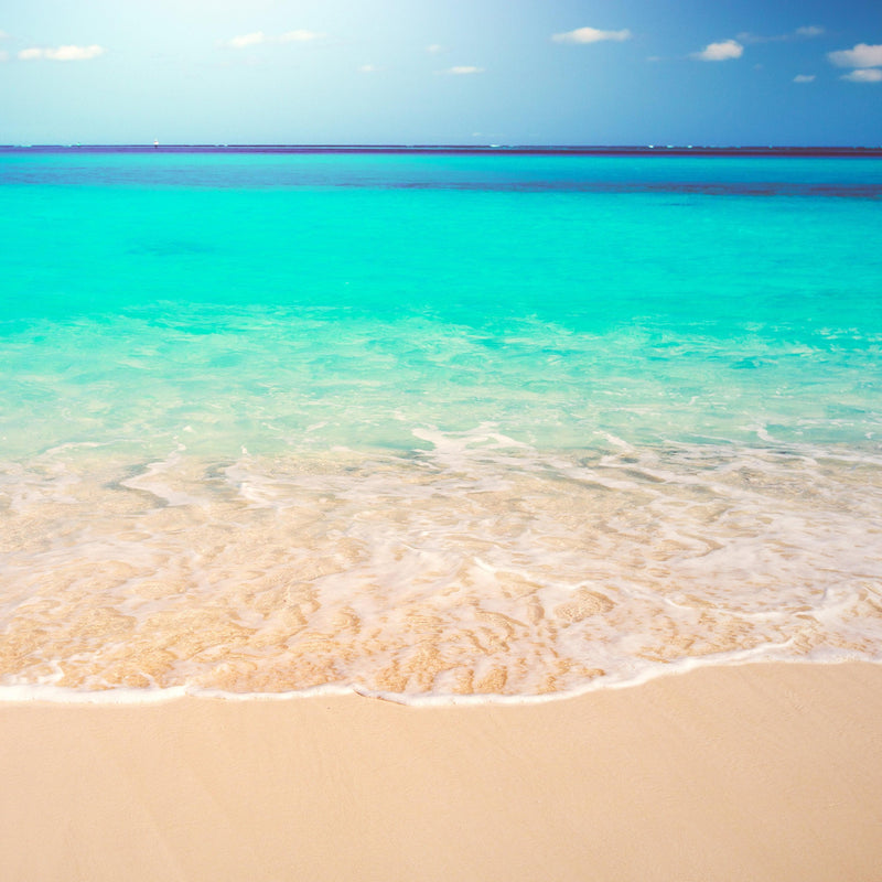 Tropical White Sand Paradise Beach Ocean Wave Scenery Wall Mural. #6201