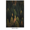 Enchanted Forest Tree Woodland Peel and Stick Wallpaper | Removable Wall Mural #6203