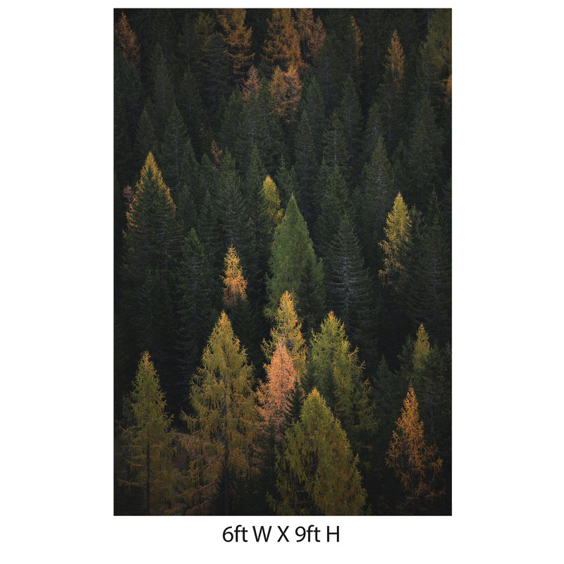 Enchanted Forest Tree Woodland Peel and Stick Wallpaper | Removable Wall Mural #6203