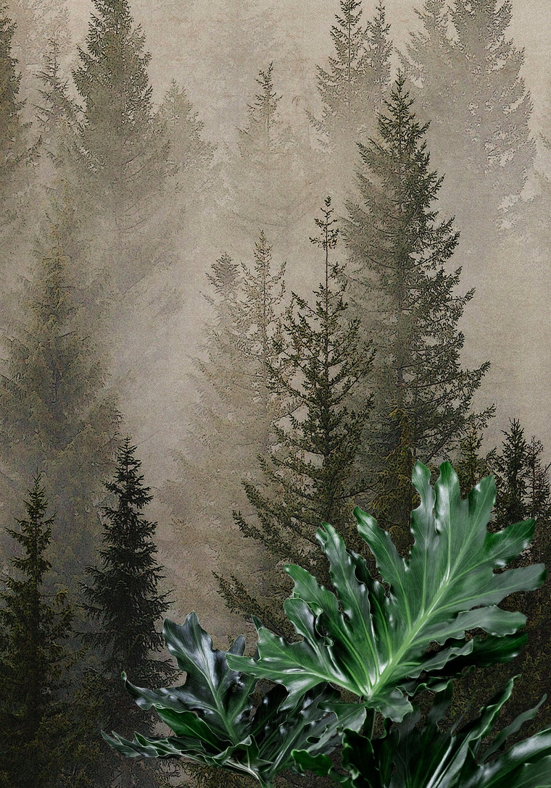 Misty Pine Tree Forest Landscape Wallpaper. Peel and Stick Wall Mural. Self Adhesive Nursery Wall Decor. #6237