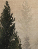 Misty Pine Tree Forest Landscape Wallpaper. Peel and Stick Wall Mural. Self Adhesive Nursery Wall Decor. #6237